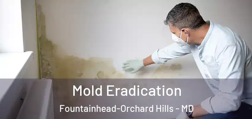 Mold Eradication Fountainhead-Orchard Hills - MD