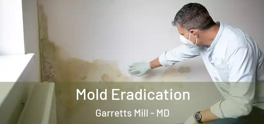 Mold Eradication Garretts Mill - MD