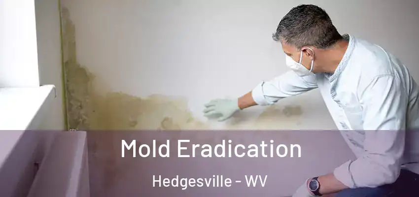  Mold Eradication Hedgesville - WV