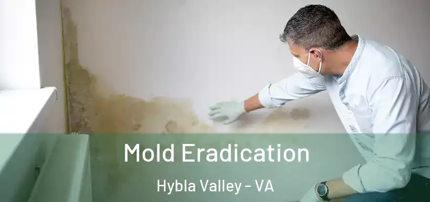Mold Eradication Hybla Valley - VA