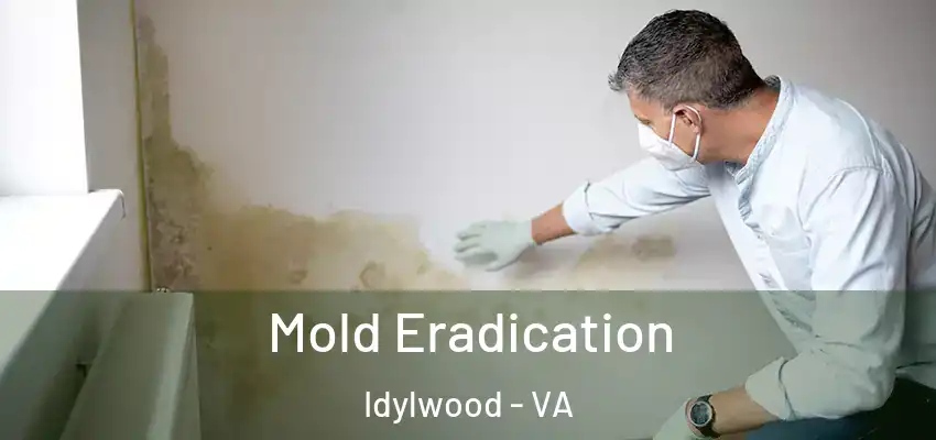 Mold Eradication Idylwood - VA