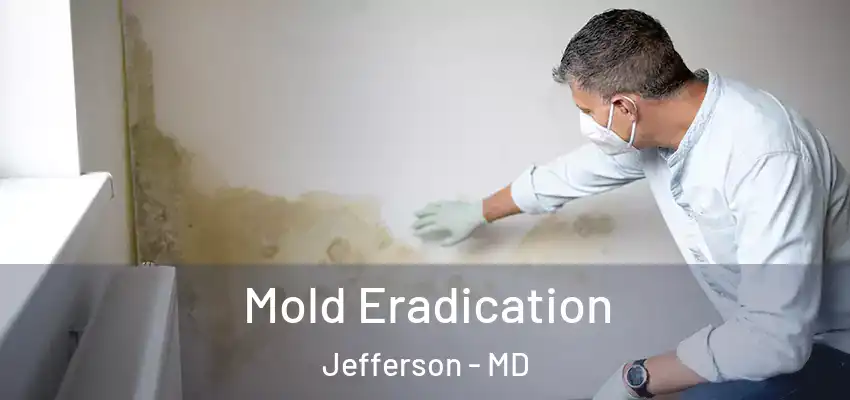  Mold Eradication Jefferson - MD
