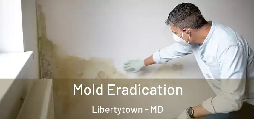 Mold Eradication Libertytown - MD