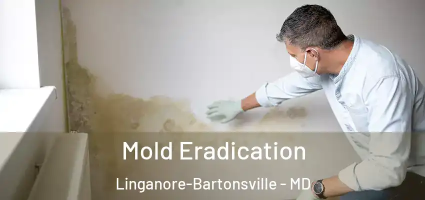 Mold Eradication Linganore-Bartonsville - MD