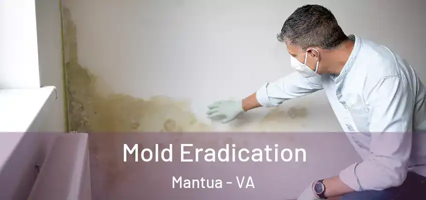 Mold Eradication Mantua - VA