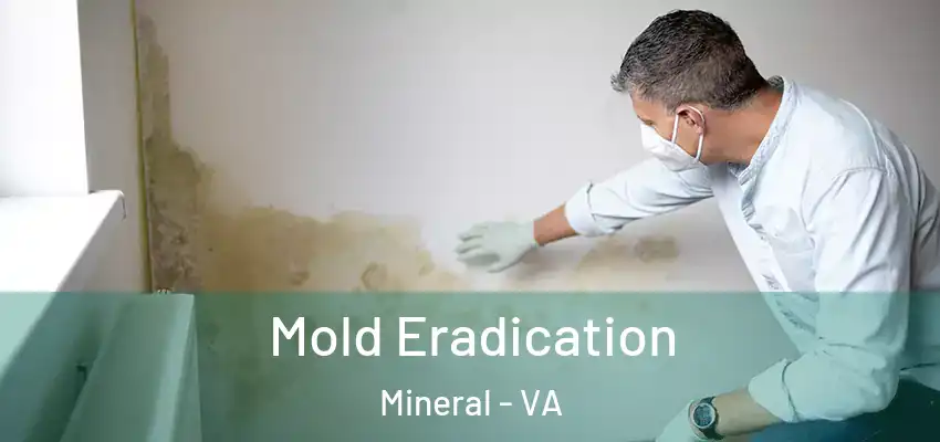 Mold Eradication Mineral - VA