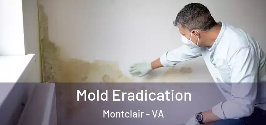  Mold Eradication Montclair - VA