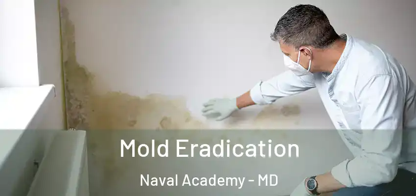 Mold Eradication Naval Academy - MD