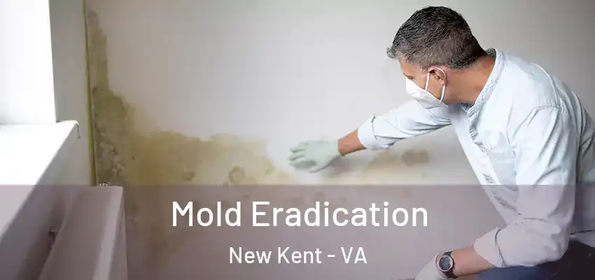 Mold Eradication New Kent - VA