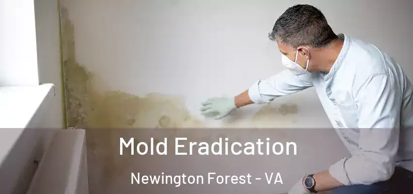 Mold Eradication Newington Forest - VA