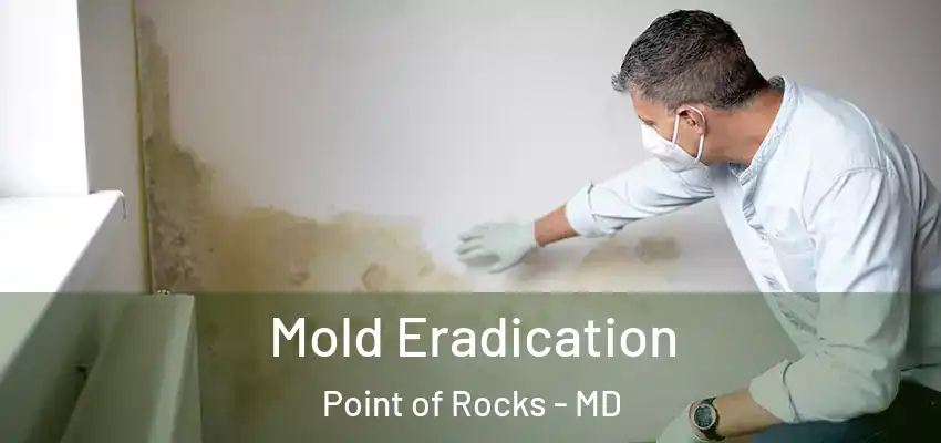  Mold Eradication Point of Rocks - MD