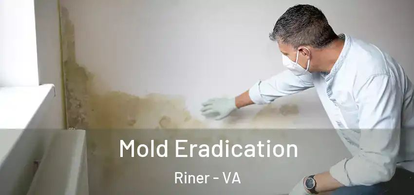  Mold Eradication Riner - VA