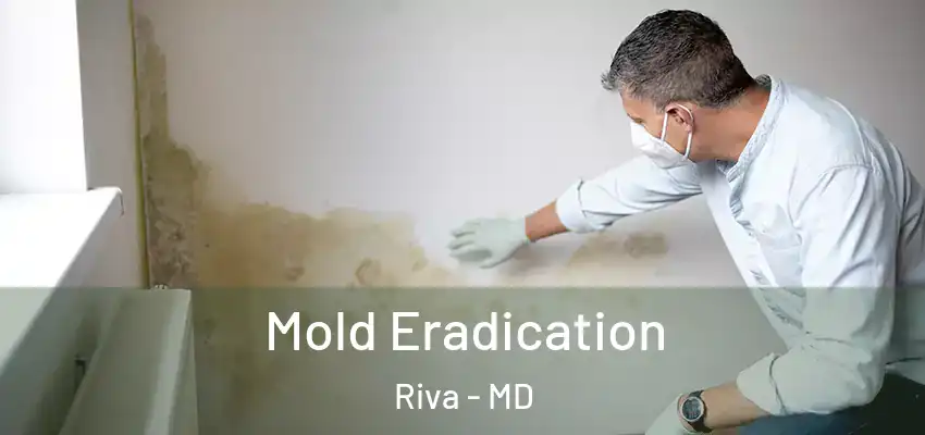  Mold Eradication Riva - MD