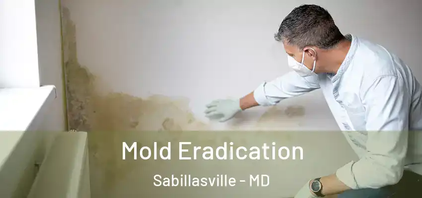  Mold Eradication Sabillasville - MD