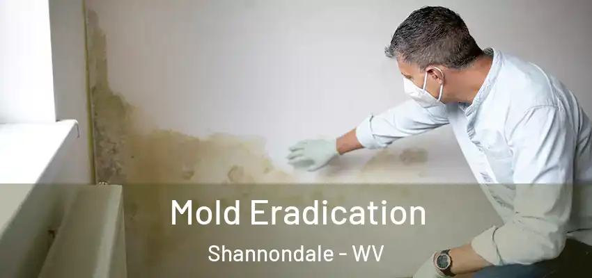 Mold Eradication Shannondale - WV