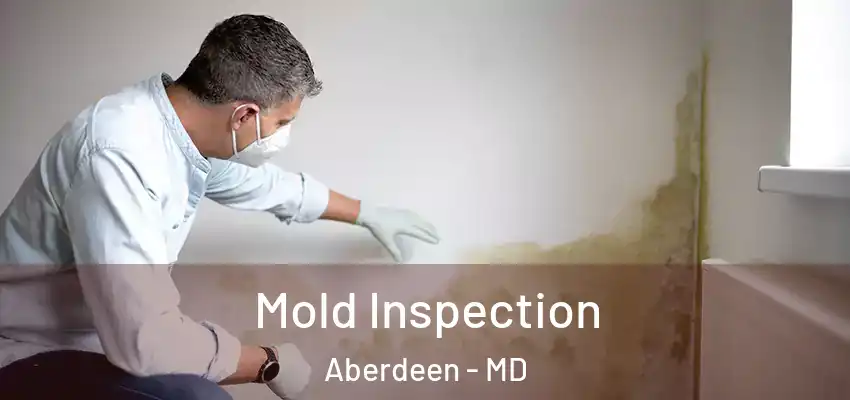 Mold Inspection Aberdeen - MD