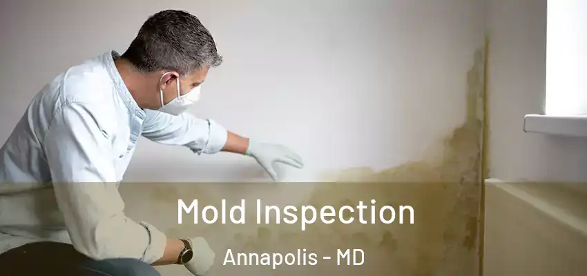  Mold Inspection Annapolis - MD
