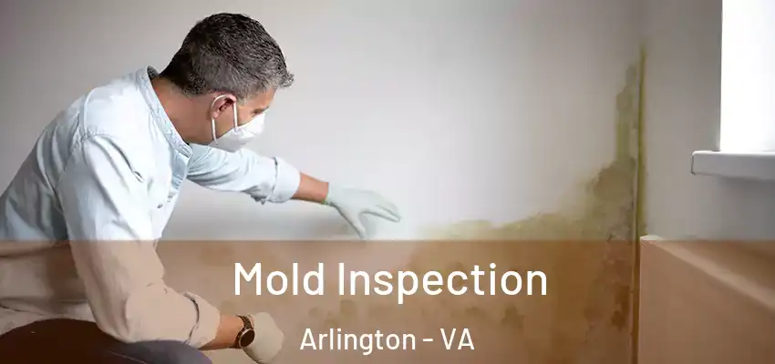  Mold Inspection Arlington - VA