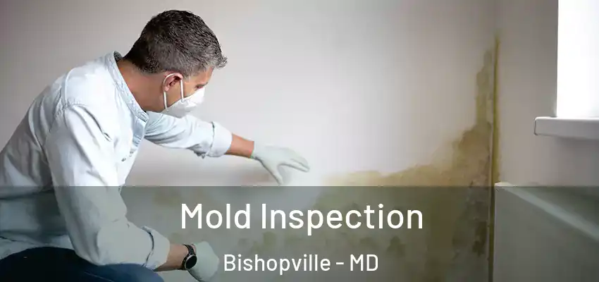 Mold Inspection Bishopville - MD