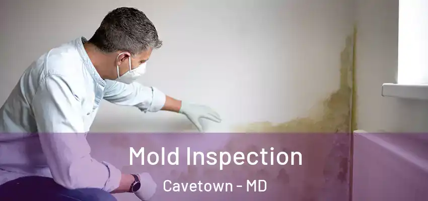 Mold Inspection Cavetown - MD
