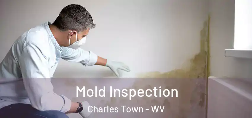 Mold Inspection Charles Town - WV