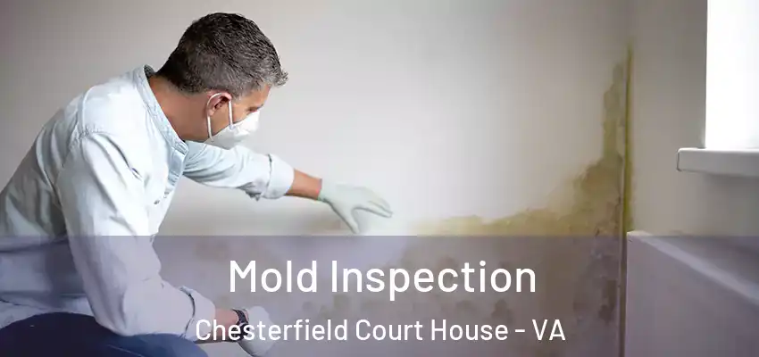 Mold Inspection Chesterfield Court House - VA