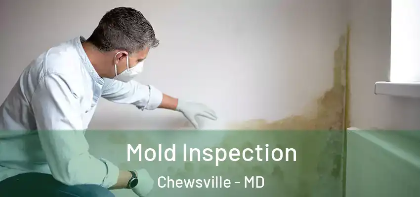 Mold Inspection Chewsville - MD