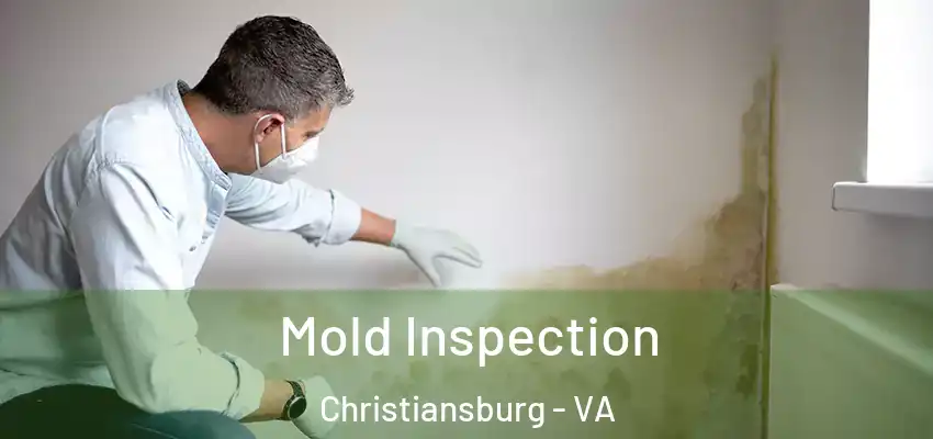  Mold Inspection Christiansburg - VA