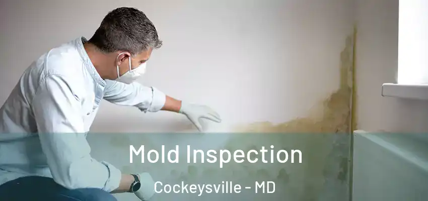 Mold Inspection Cockeysville - MD