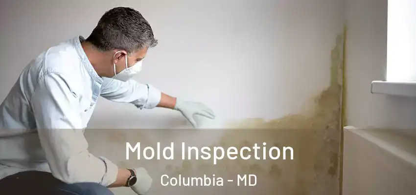 Mold Inspection Columbia - MD