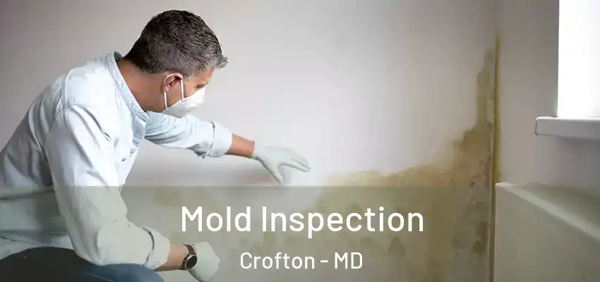  Mold Inspection Crofton - MD