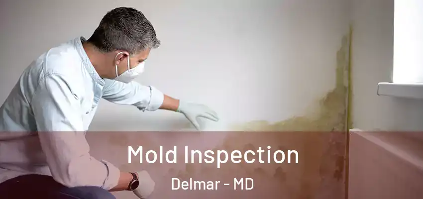  Mold Inspection Delmar - MD