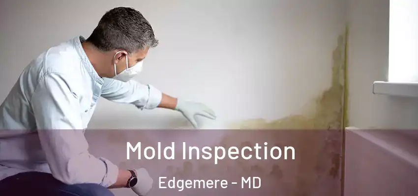  Mold Inspection Edgemere - MD