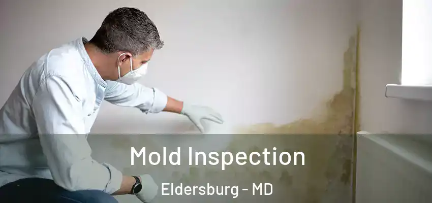 Mold Inspection Eldersburg - MD