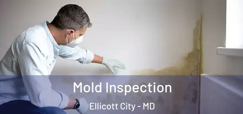 Mold Inspection Ellicott City - MD