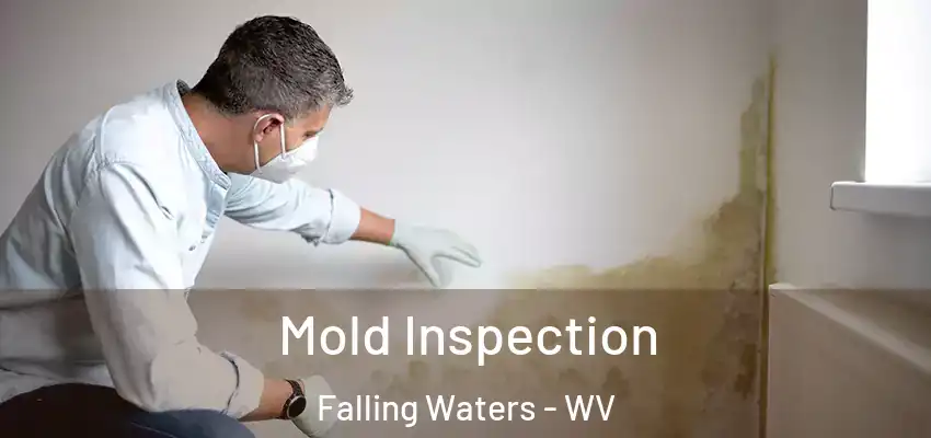 Mold Inspection Falling Waters - WV