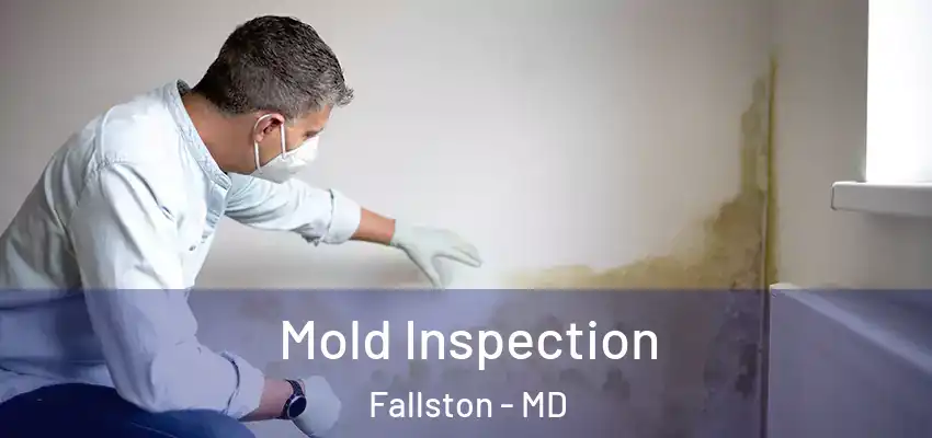  Mold Inspection Fallston - MD