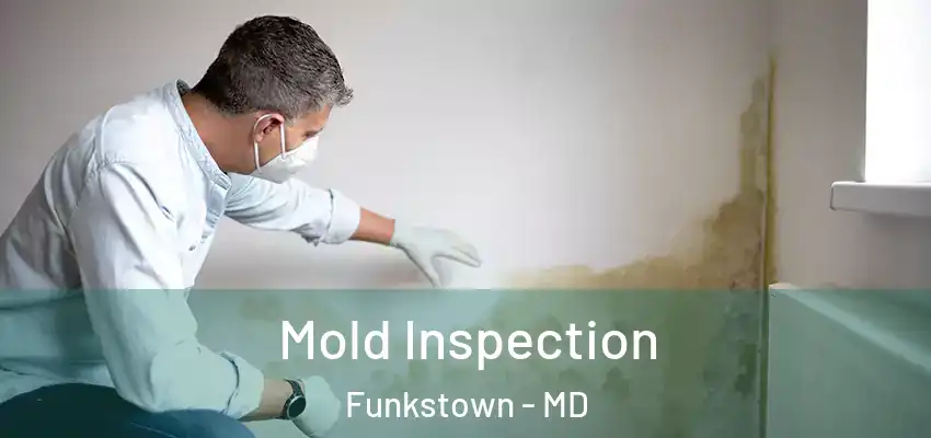  Mold Inspection Funkstown - MD