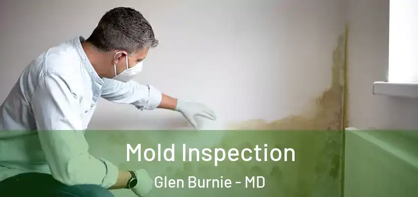 Mold Inspection Glen Burnie - MD
