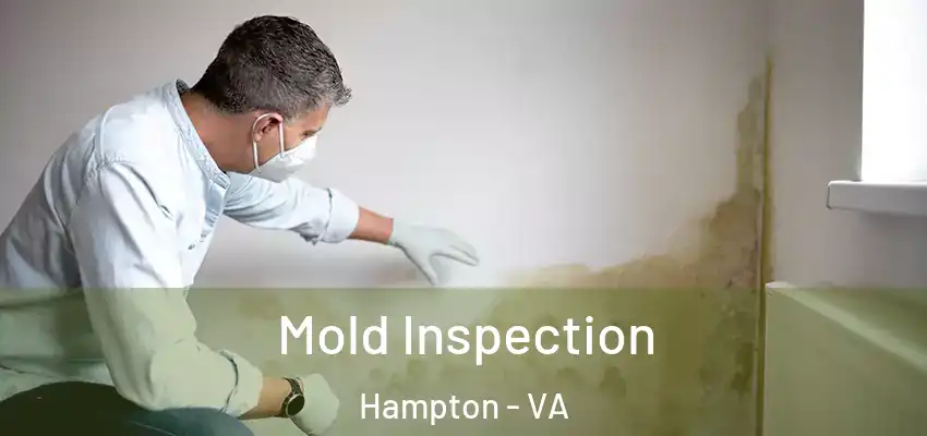 Mold Inspection Hampton - VA