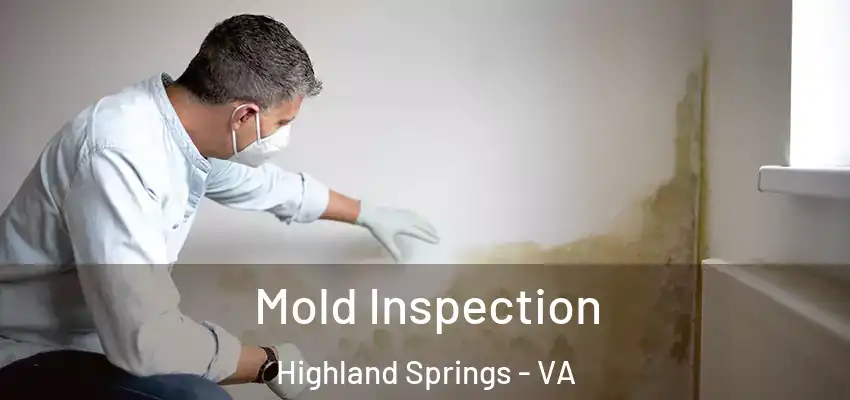  Mold Inspection Highland Springs - VA