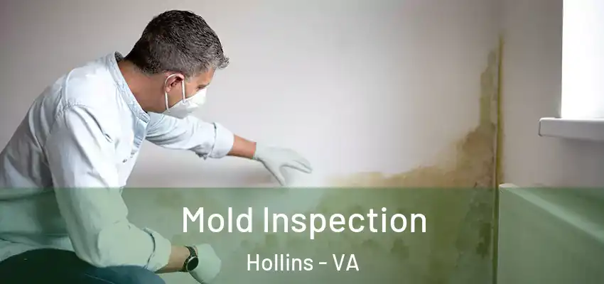  Mold Inspection Hollins - VA