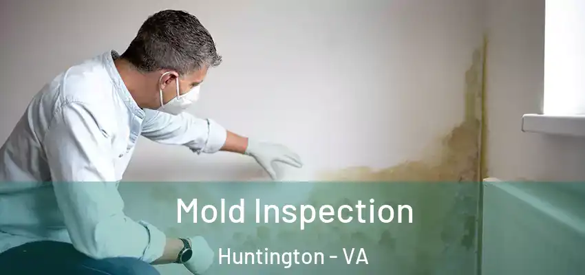 Mold Inspection Huntington - VA