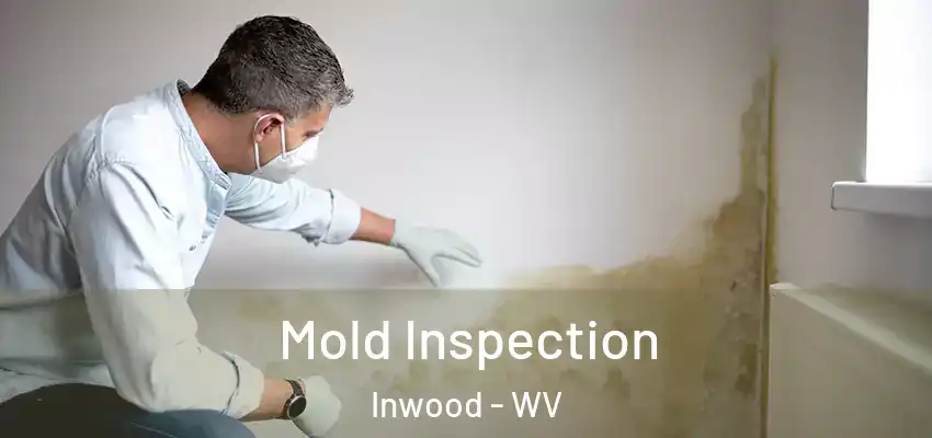  Mold Inspection Inwood - WV