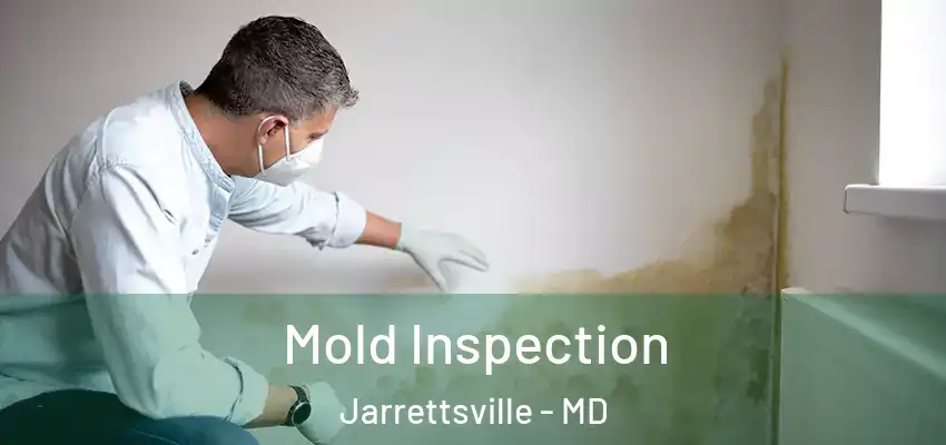  Mold Inspection Jarrettsville - MD