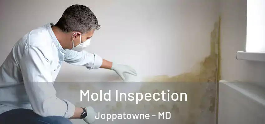 Mold Inspection Joppatowne - MD