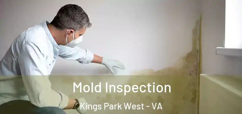  Mold Inspection Kings Park West - VA