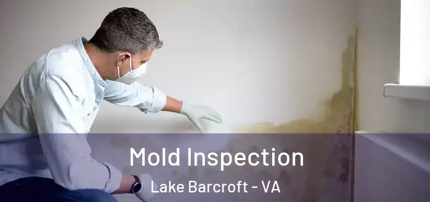  Mold Inspection Lake Barcroft - VA