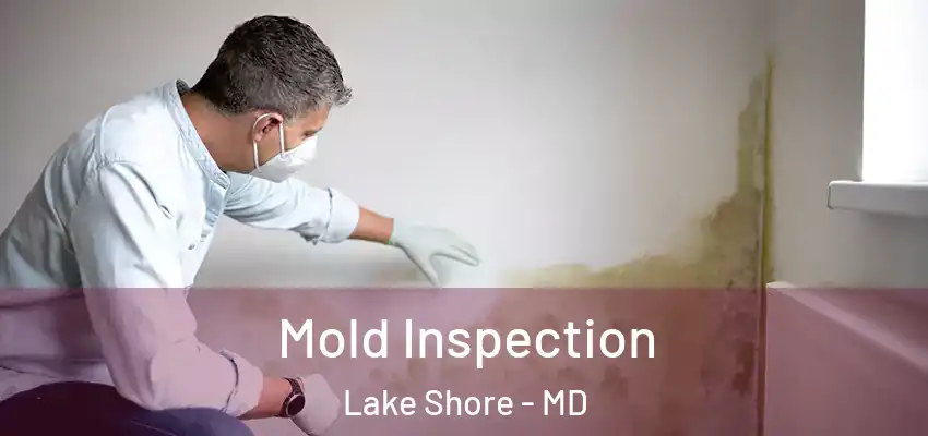 Mold Inspection Lake Shore - MD