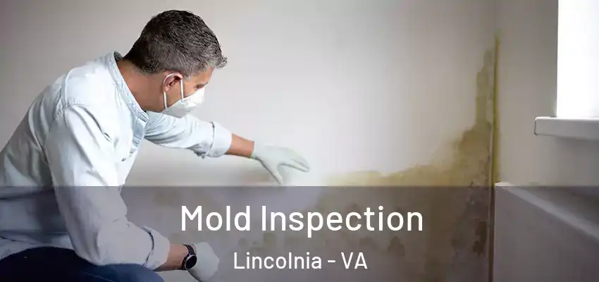 Mold Inspection Lincolnia - VA